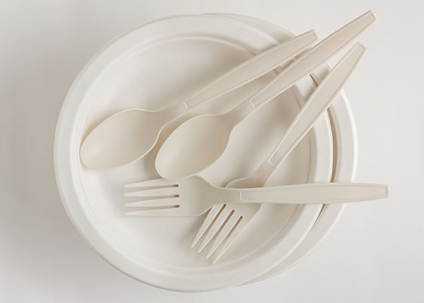 Disposable Crockery & Cutlery
