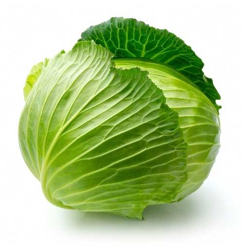 Organic Cabbage