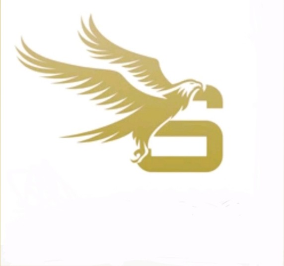 SONI and CO Logo