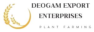 DEOGAM EXPORT ENTERPRISES