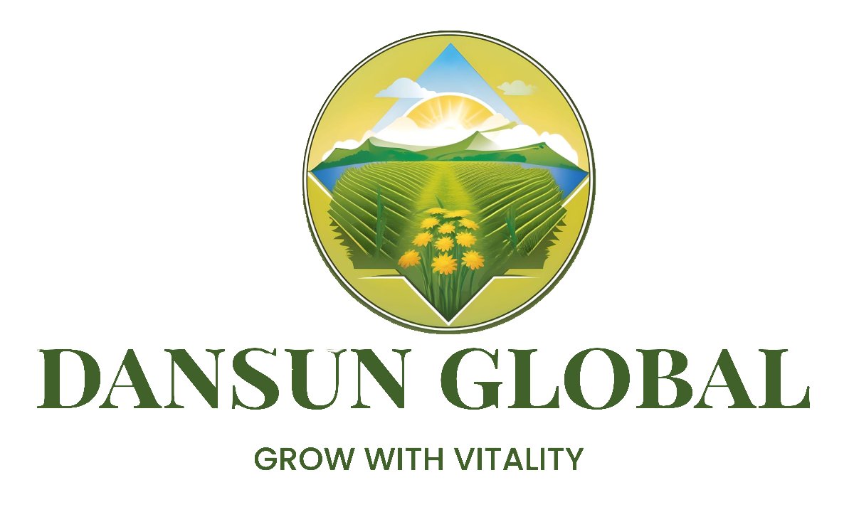 DANSUN GLOBAL Logo