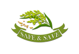 Safe And Save Logo