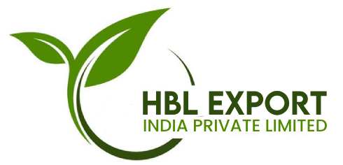 HBL export India Pvt Ltd Logo