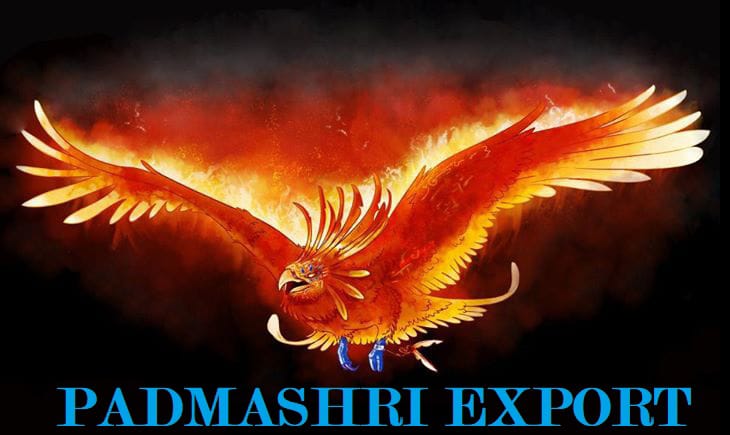 Padmashri export Logo