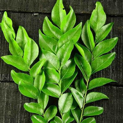 Fresh curry leaves