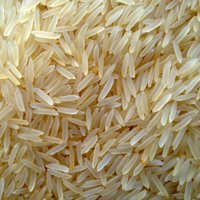 1718 Basmati Rice