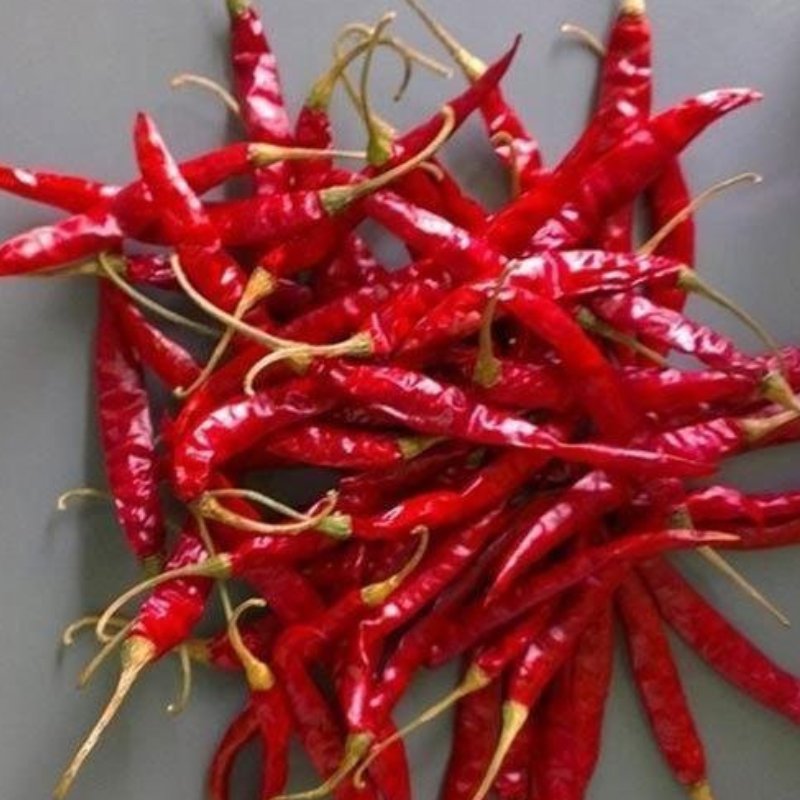Teja red chillies