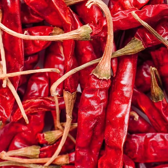 Dry red chilli