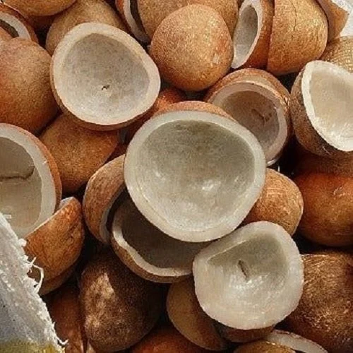 Copra Coconut