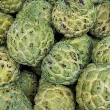 Custard Apple