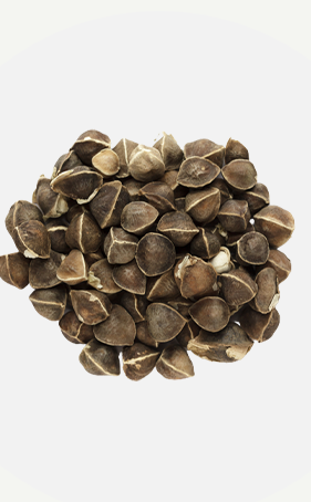 Moringa seeds