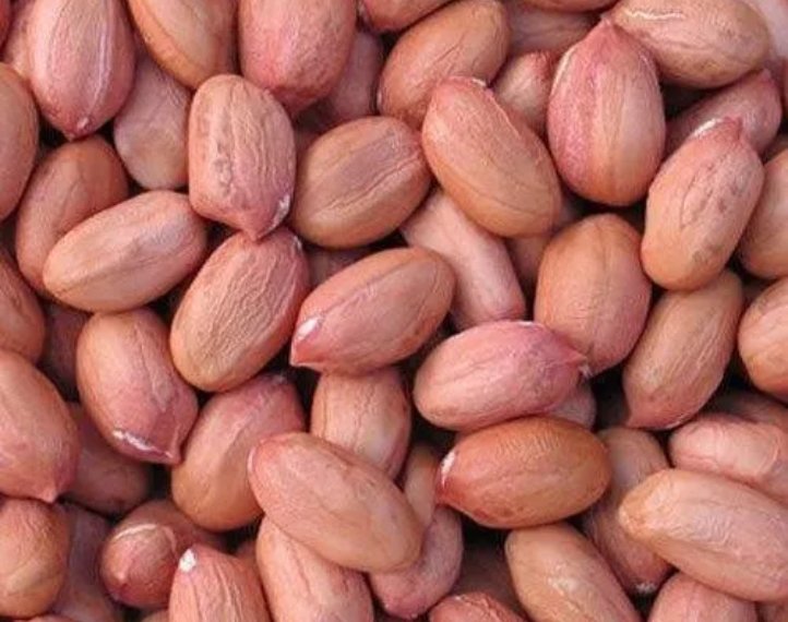 Peanut Java