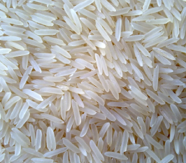 Pusa Basmati Rice 1609