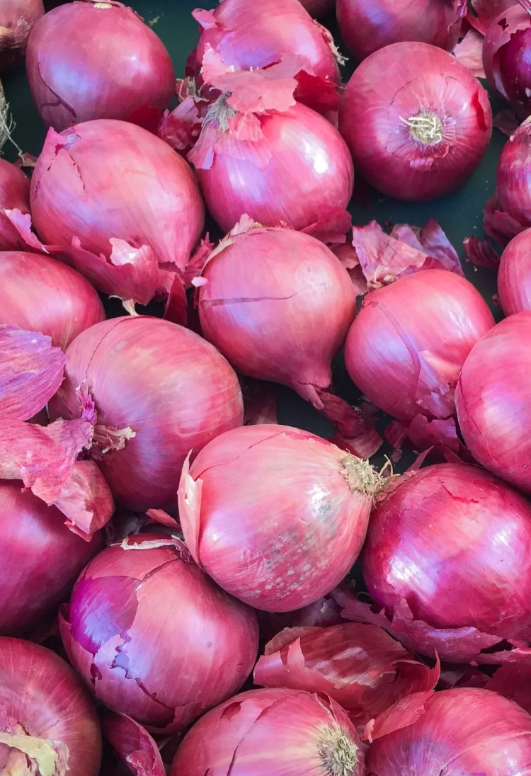 Red / Pink Onion