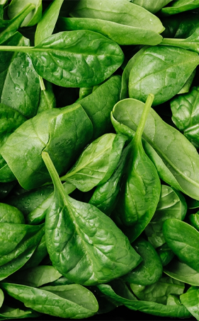 Spinach Leaves (Green)