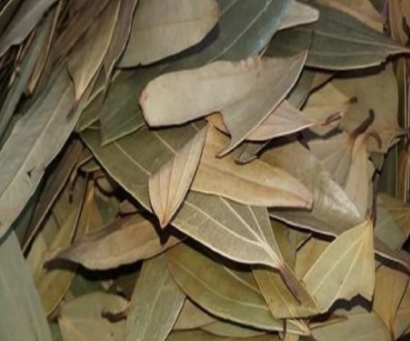Tej Patta / Bay leaf