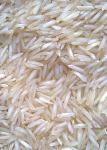 pr11 Rice