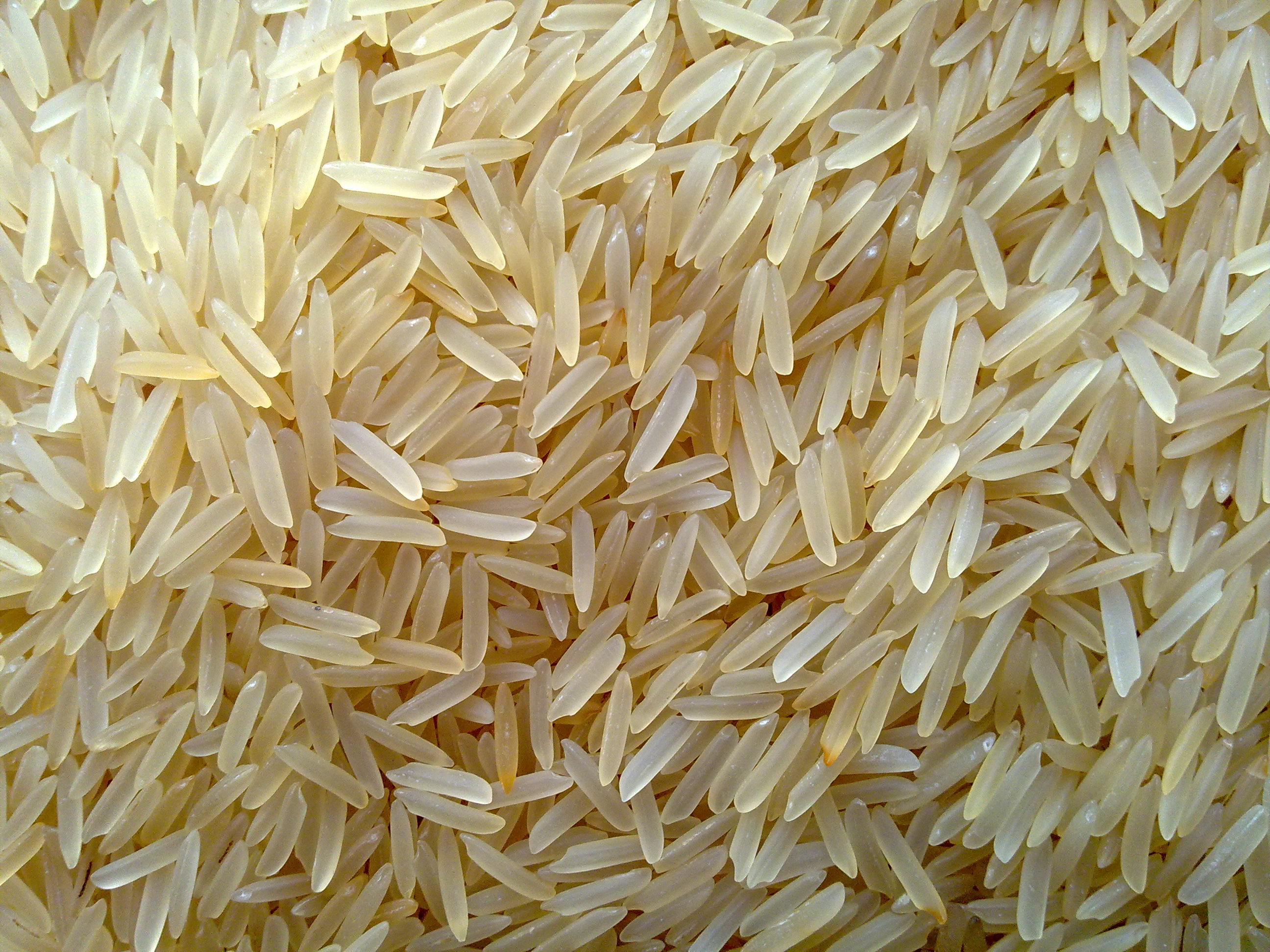 Sella basmati Rice