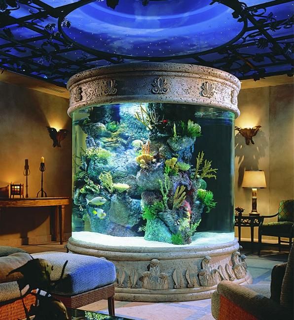 Tropical Aquariums