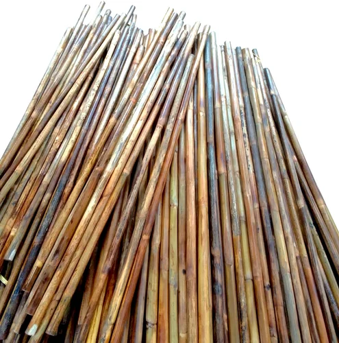 Cane Sticks