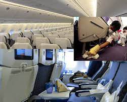 Aircraft Cleaners