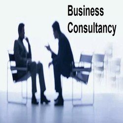 Business Process Consultants