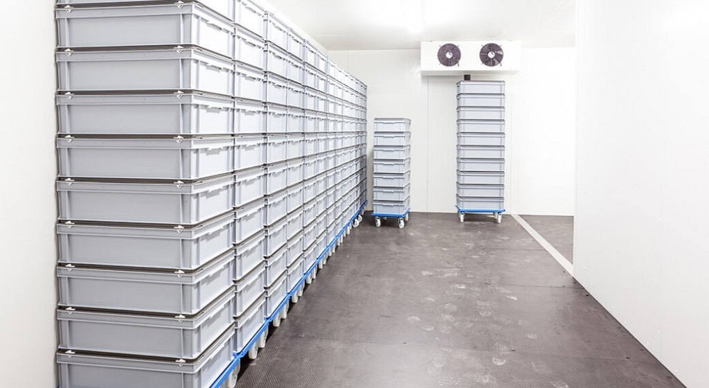 Commercial Cold Storage