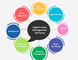 Digital Asset Management Service