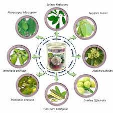 Hiv Herbal Medicine