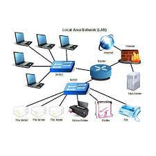 LAN Networking Services