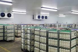 Multi Commodity Cold Storage