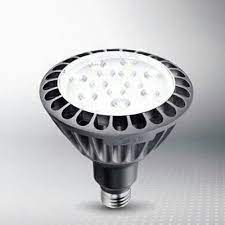 Par LED Light Bulb