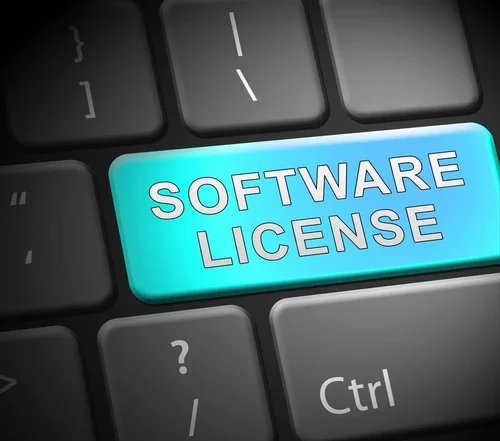 Software Licensing Service