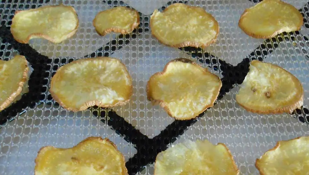 Dehydrated Potato Chips