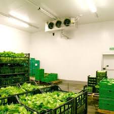 Vegetable Cold Storage