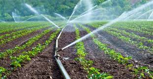 Micro Irrigation System