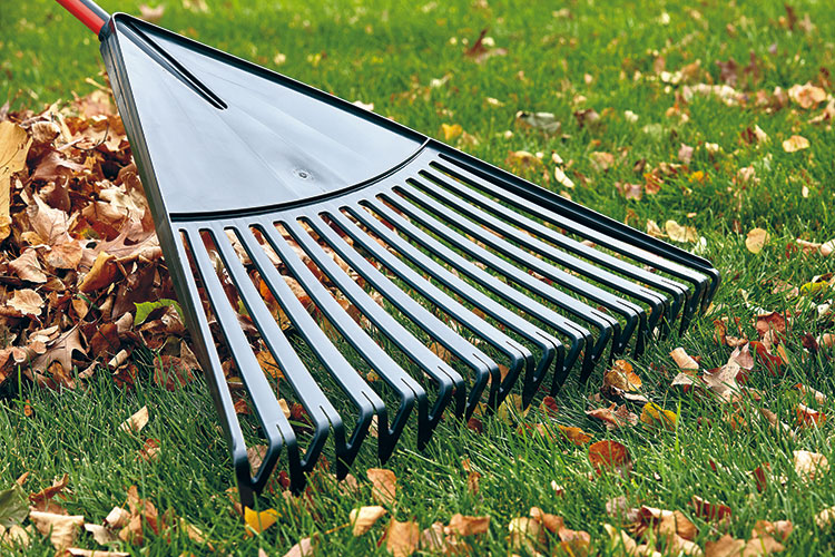 Leaf Rake