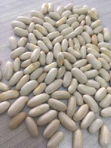 French Bean Seeds