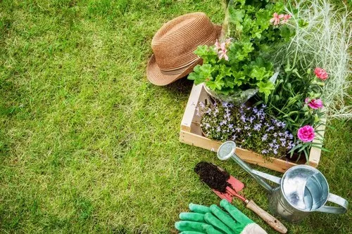 Garden Consultancy