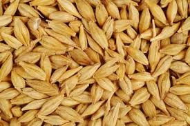 Grain Seeds