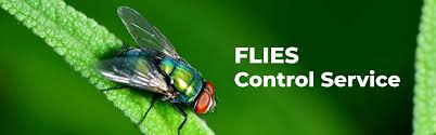 Fly Control services