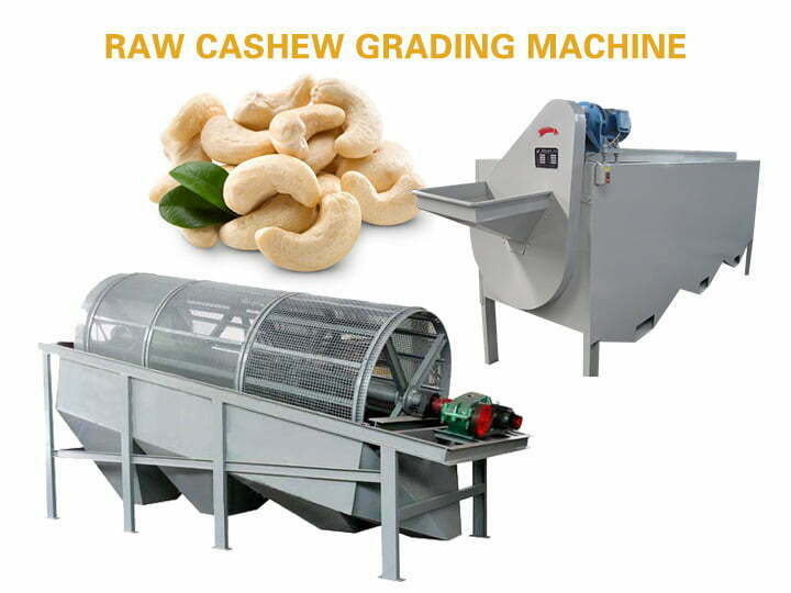 Raw Cashew Grader
