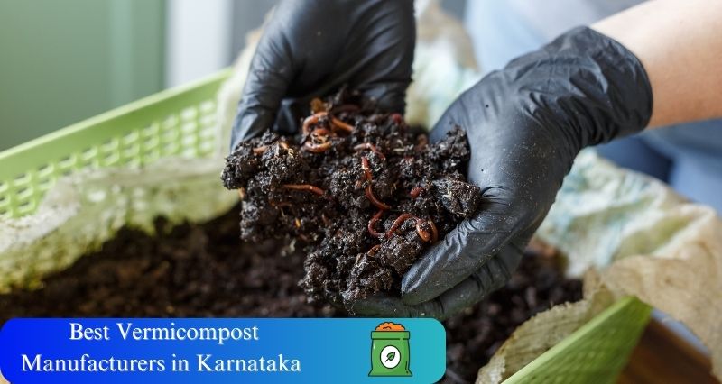 Best Vermicompost Manufacturers in Karnataka