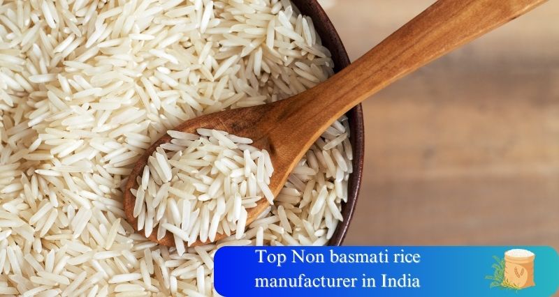 Top 3 Non Basmati Rice Manufacturer in India