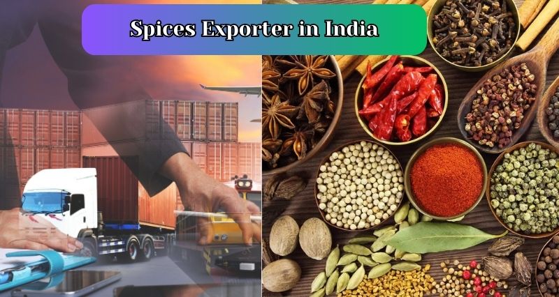 5 Best Spices Exporter in India