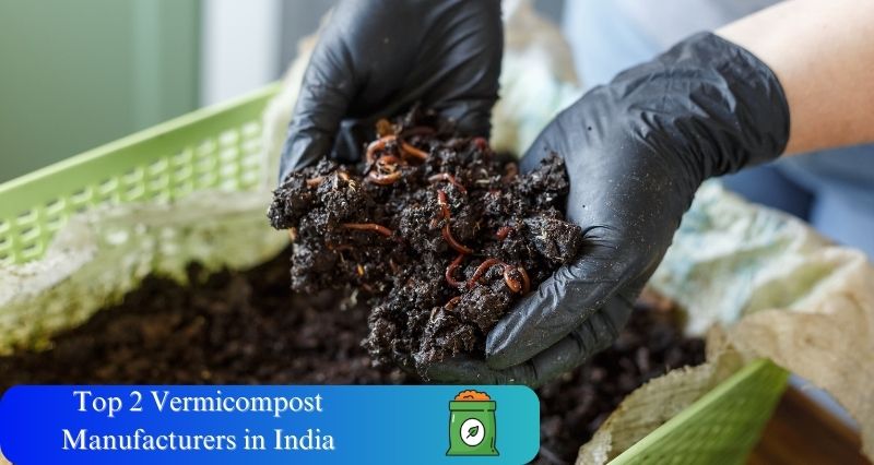 Top 2 Vermicompost Manufacturers in India